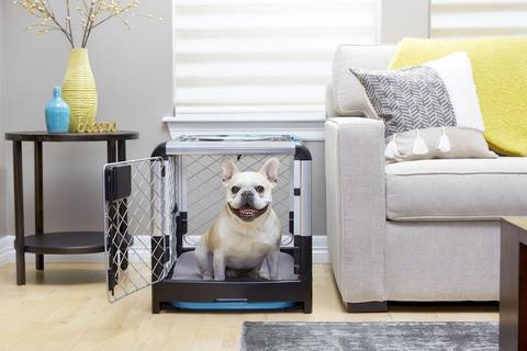 The most effective method to Choose, Use and Maintain a Dog Crate