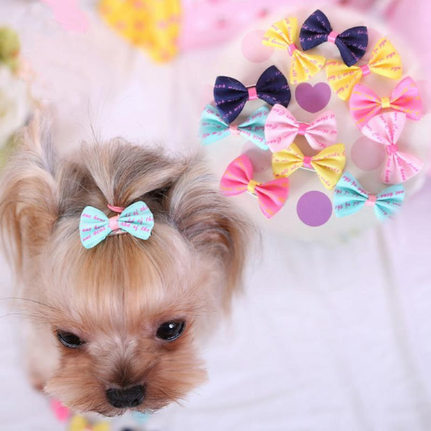 5pcs Pet Grooming Bows Small dog hair accessories grooming hair bows with clips puppy Hair ties headdress Pet Gifts