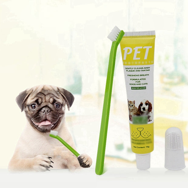 Beef Flavor Pet Toothpaste and Toothbrush Set Pet Teeth Cleaning Supplies Dog Healthy Edible Toothpaste for Oral Cleaning Care