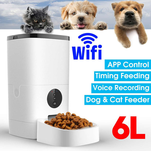6L Large Capacity Pet Automatic Feeder Smart Voice Recorder APP Control Timer Feeding Cat Dog Food Dispenser WiFi/Button Version