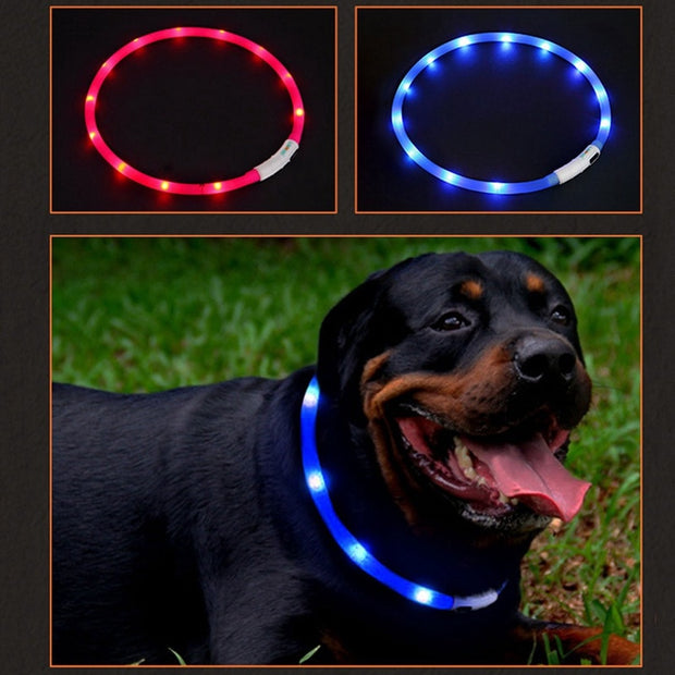 LED Pet Collar USB Rechargeable Night Safety Warning Illuminated Dog Adjustable Silicone Collar Cut to Resize
