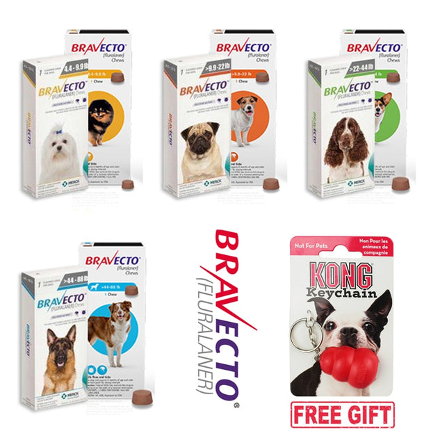 Bravecto Chews for Dogs & Topical Solution for Cats For Flea and Tick, Single 12-Week Dose
