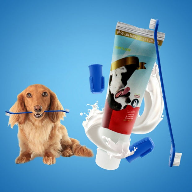 Dog Toothbrush Toothpaste Set Edible Cat Teddy Dedicated Clean Deodorant Tooth Stains Pet Supplies